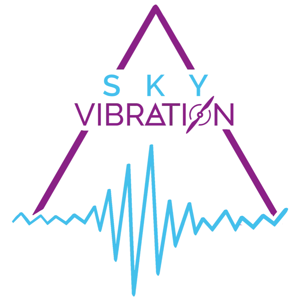 Logo de SkyVibration client de Cracker's Tech